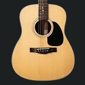 test guitar 1
